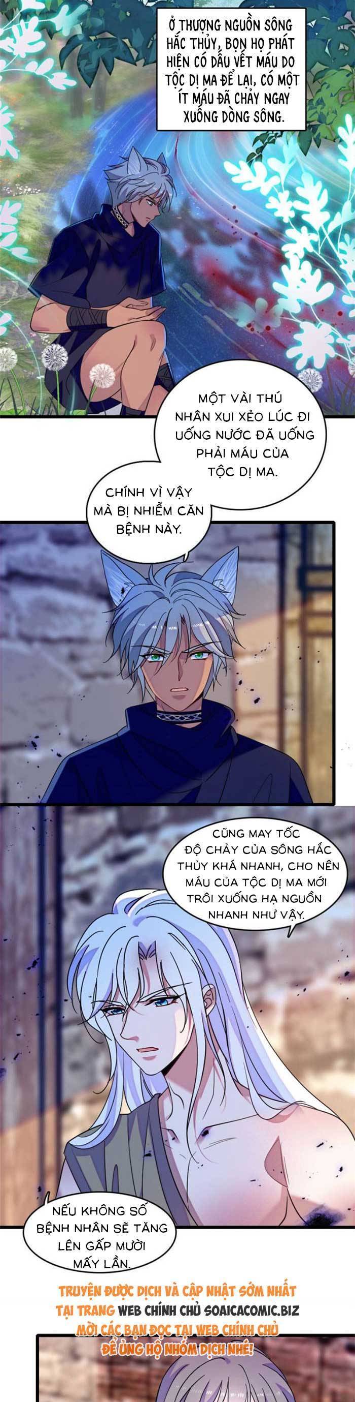 Chương 204 - Trang 8