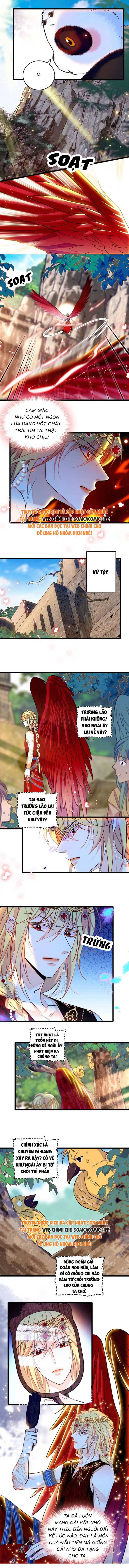 Chương 212 - Trang 2