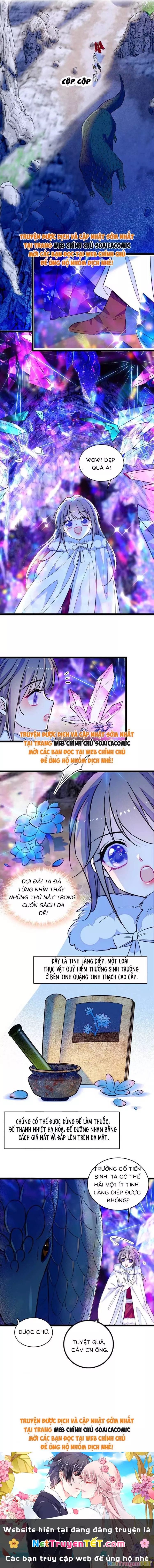 Chương 217 - Trang 4