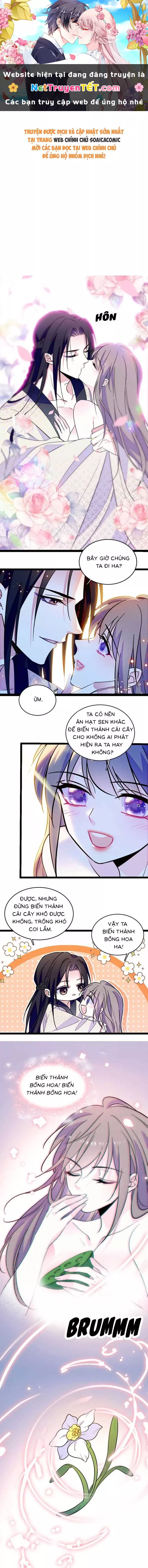 Chương 227 - Trang 1