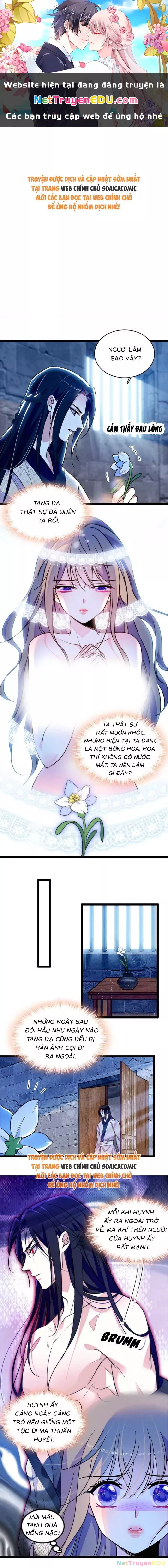 Chương 231 - Trang 1