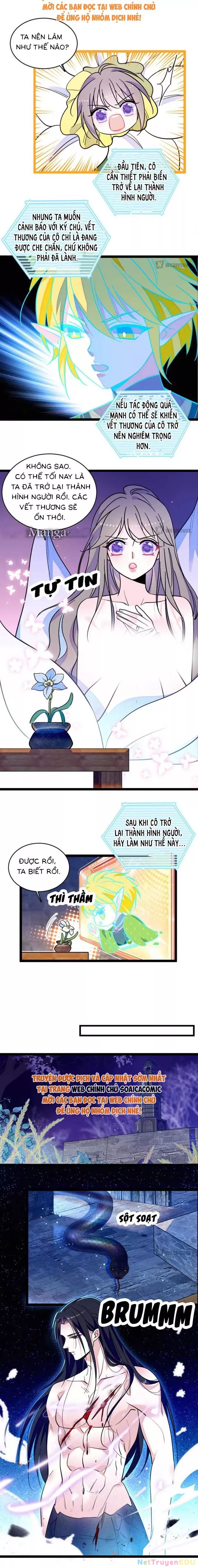 Chương 231 - Trang 3