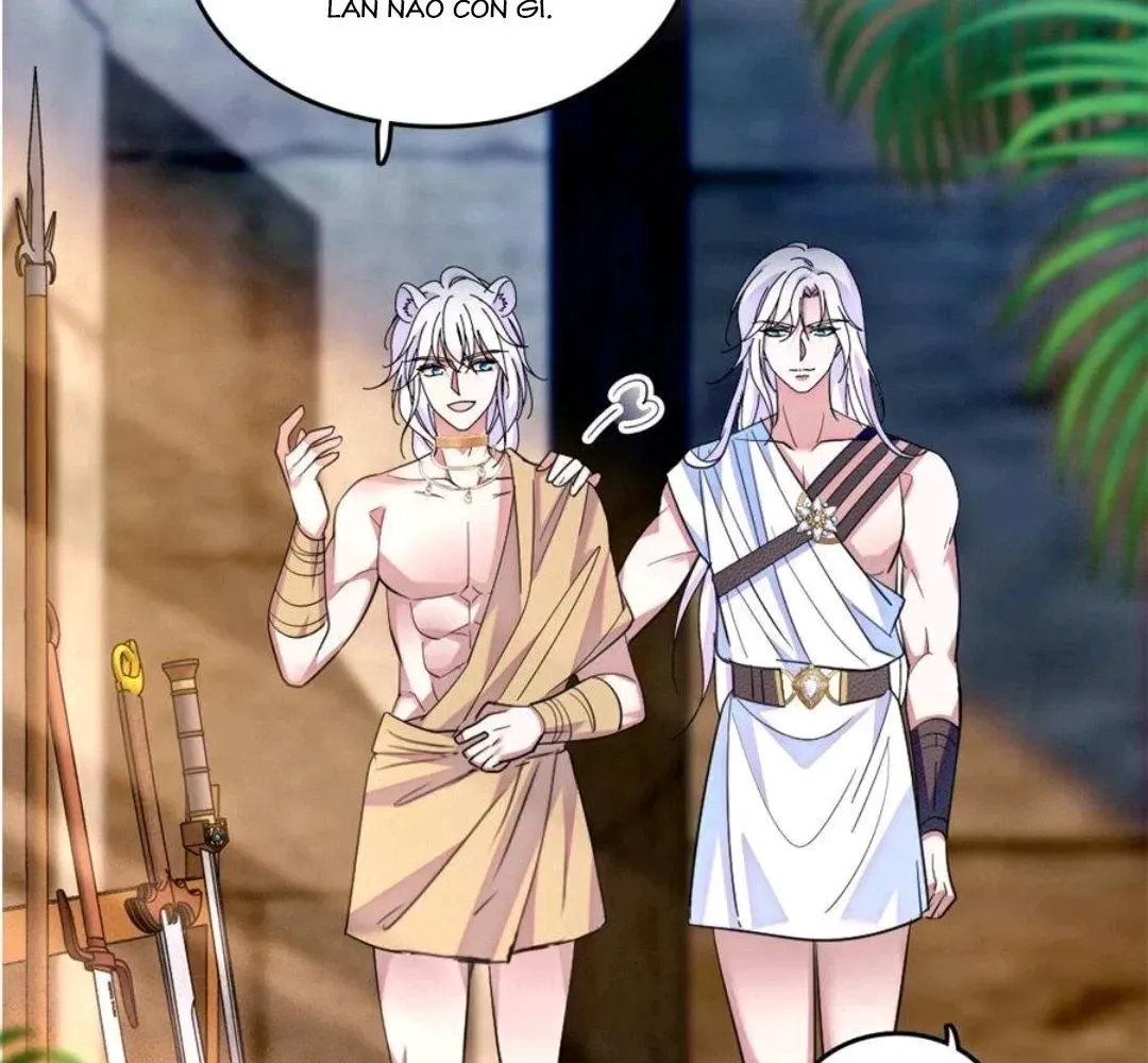 Chapter 241 - Trang 11