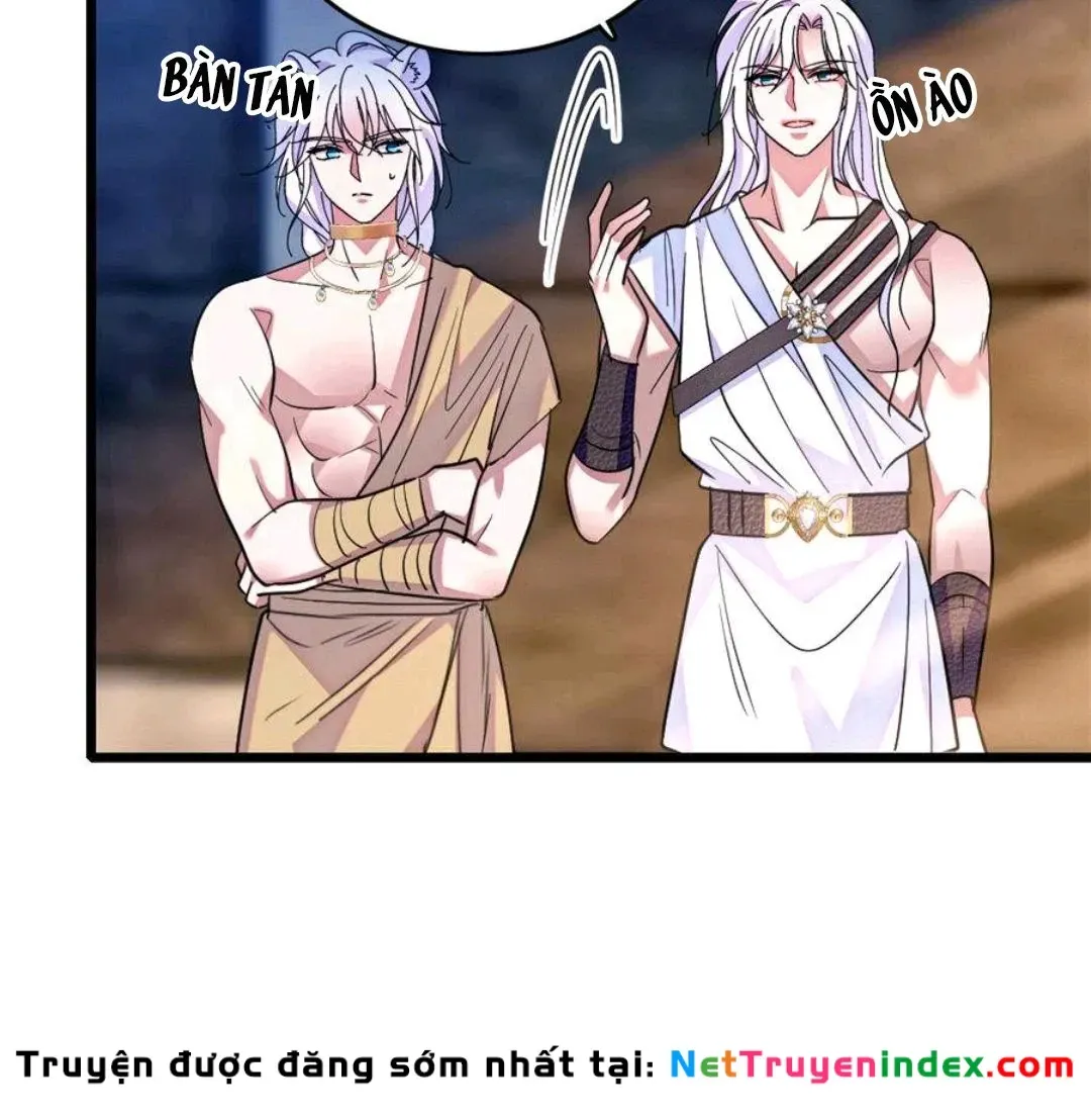 Chapter 241 - Trang 24