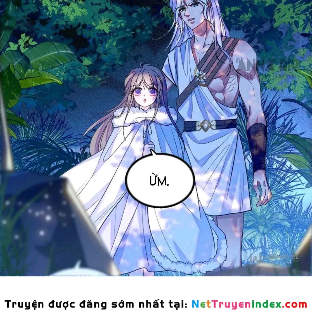 Chapter 247 - Trang 12