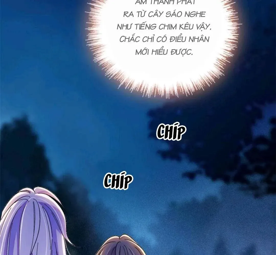 Chapter 247 - Trang 14
