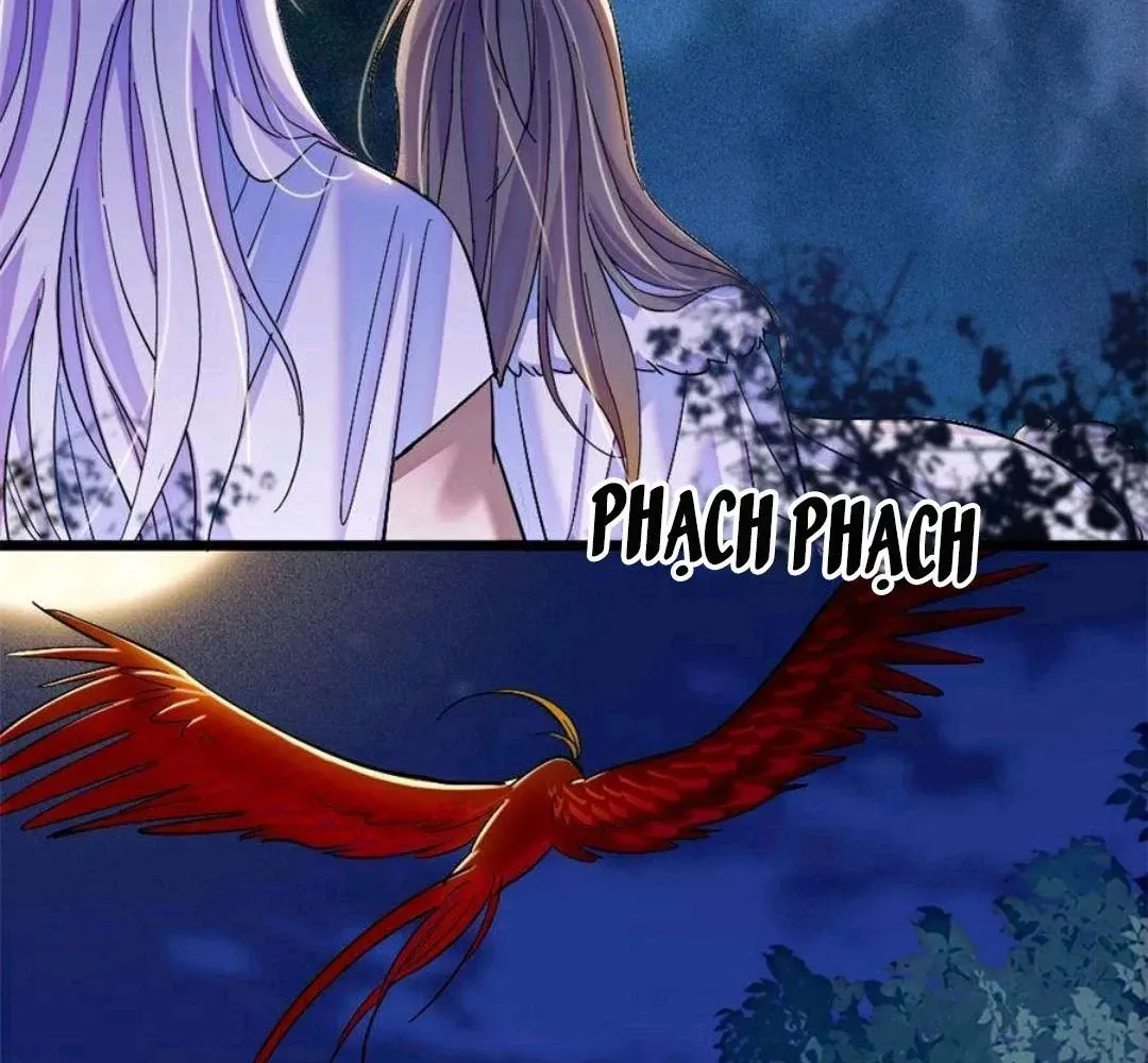 Chapter 247 - Trang 15