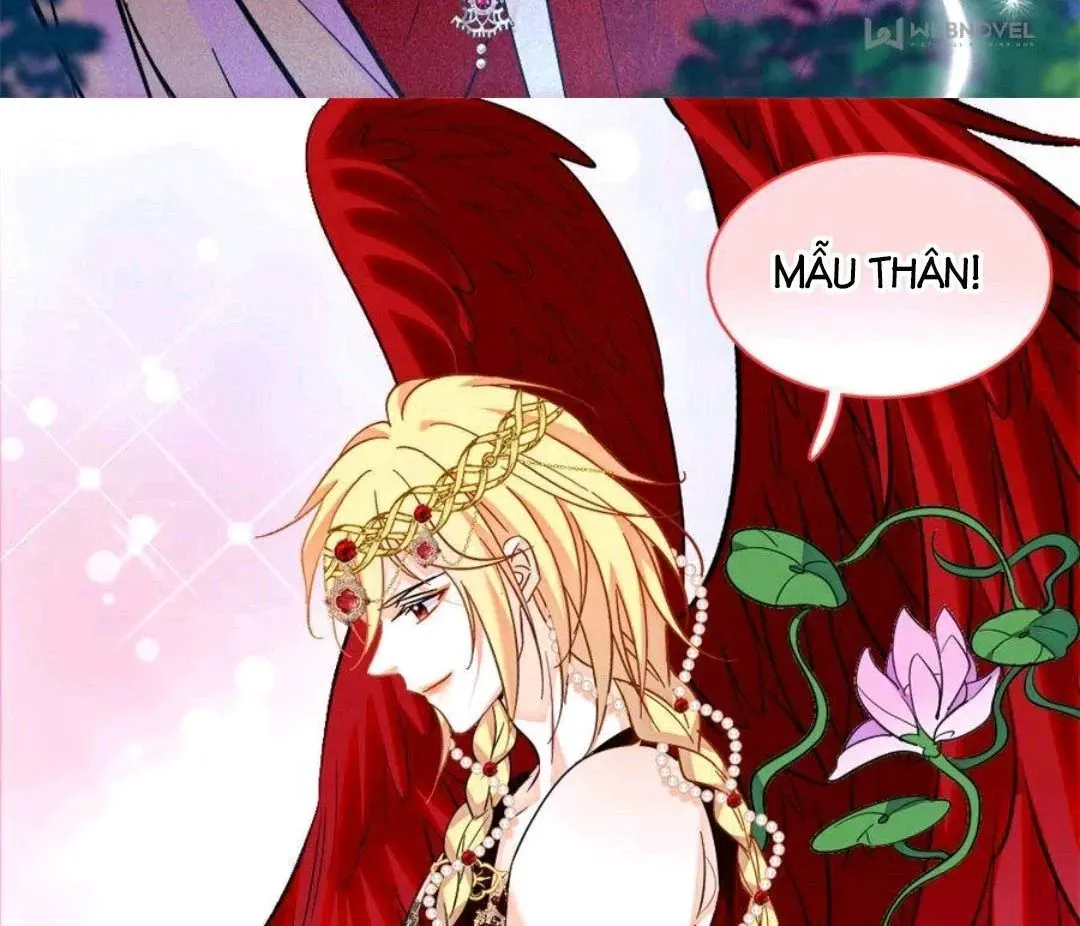 Chapter 247 - Trang 19