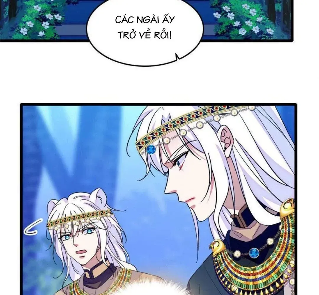 Chapter 253 - Trang 35