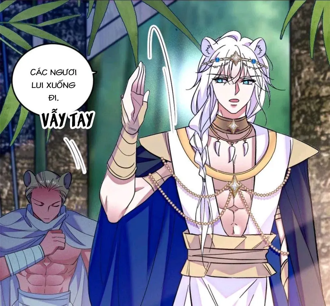 Chapter 256 - Trang 8