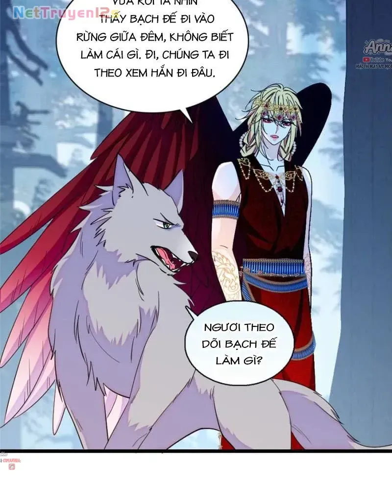 Chapter 657 - Trang 13