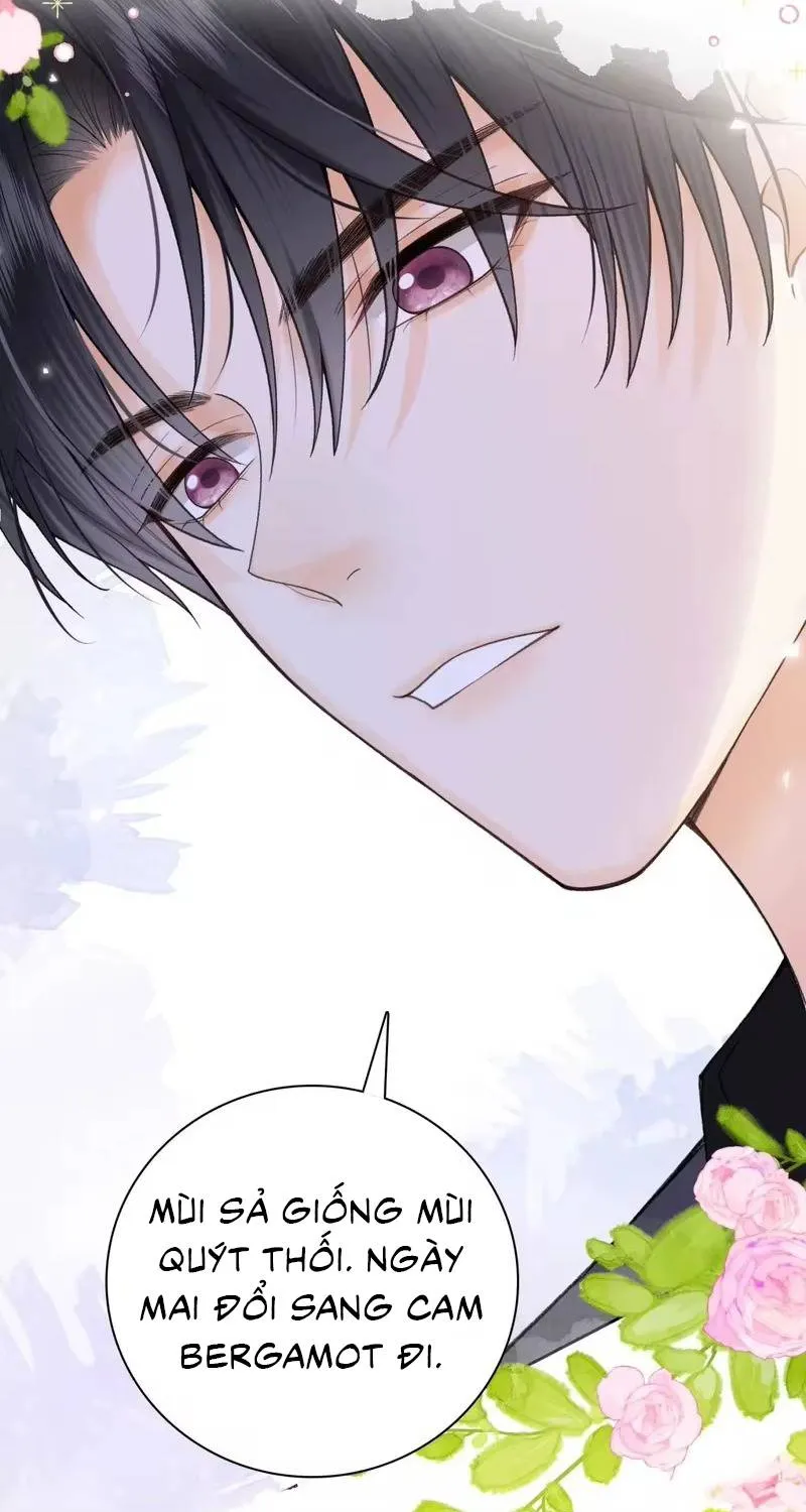 Chapter 3 - Trang 41
