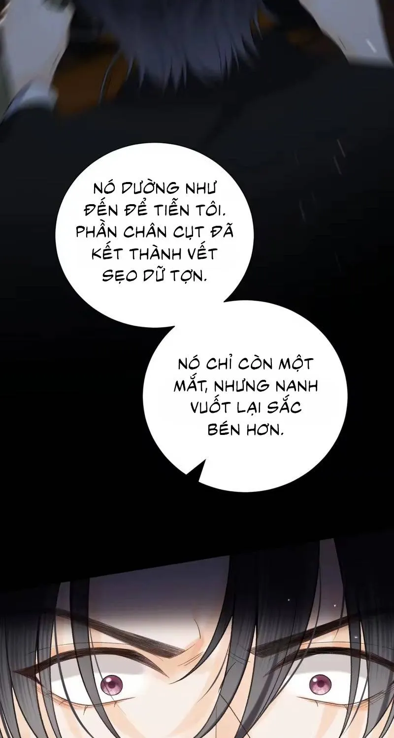 Chapter 4 - Trang 15