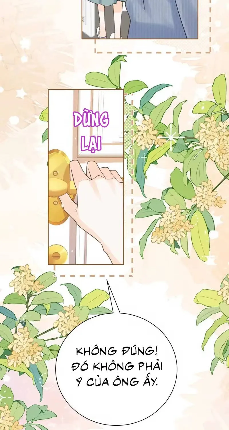Chapter 4 - Trang 24