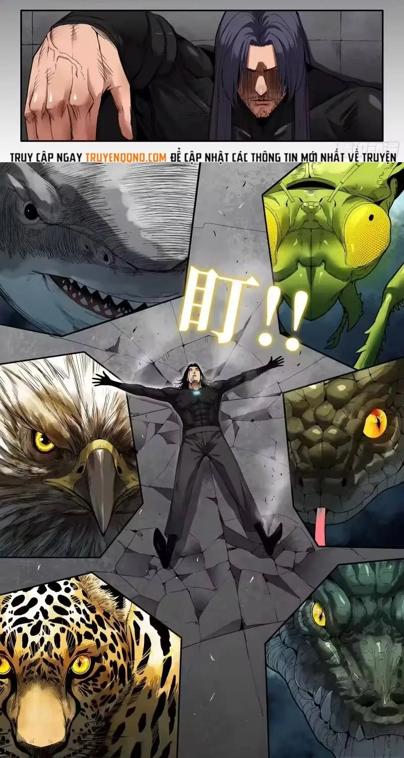Chapter 382 - Trang 8