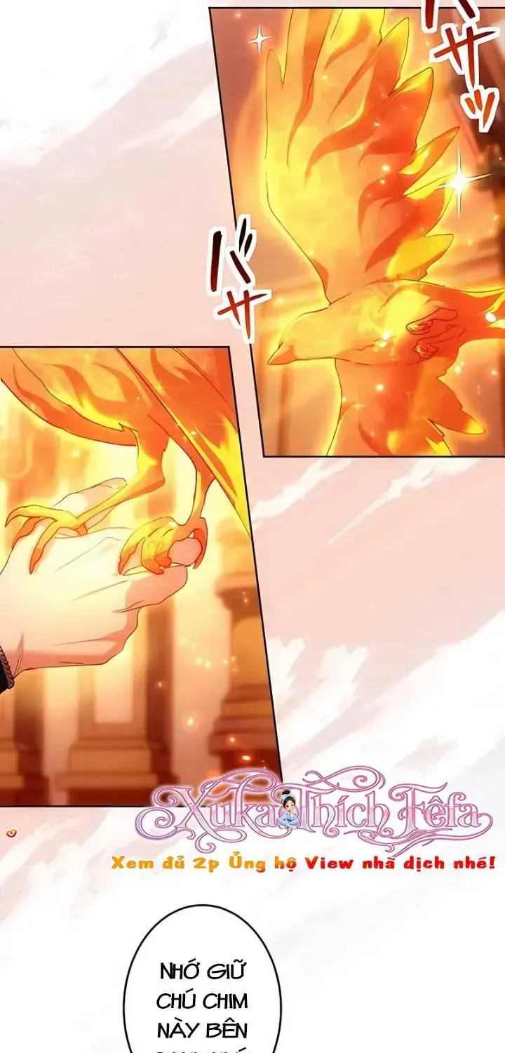 Chapter 28 - Trang 24