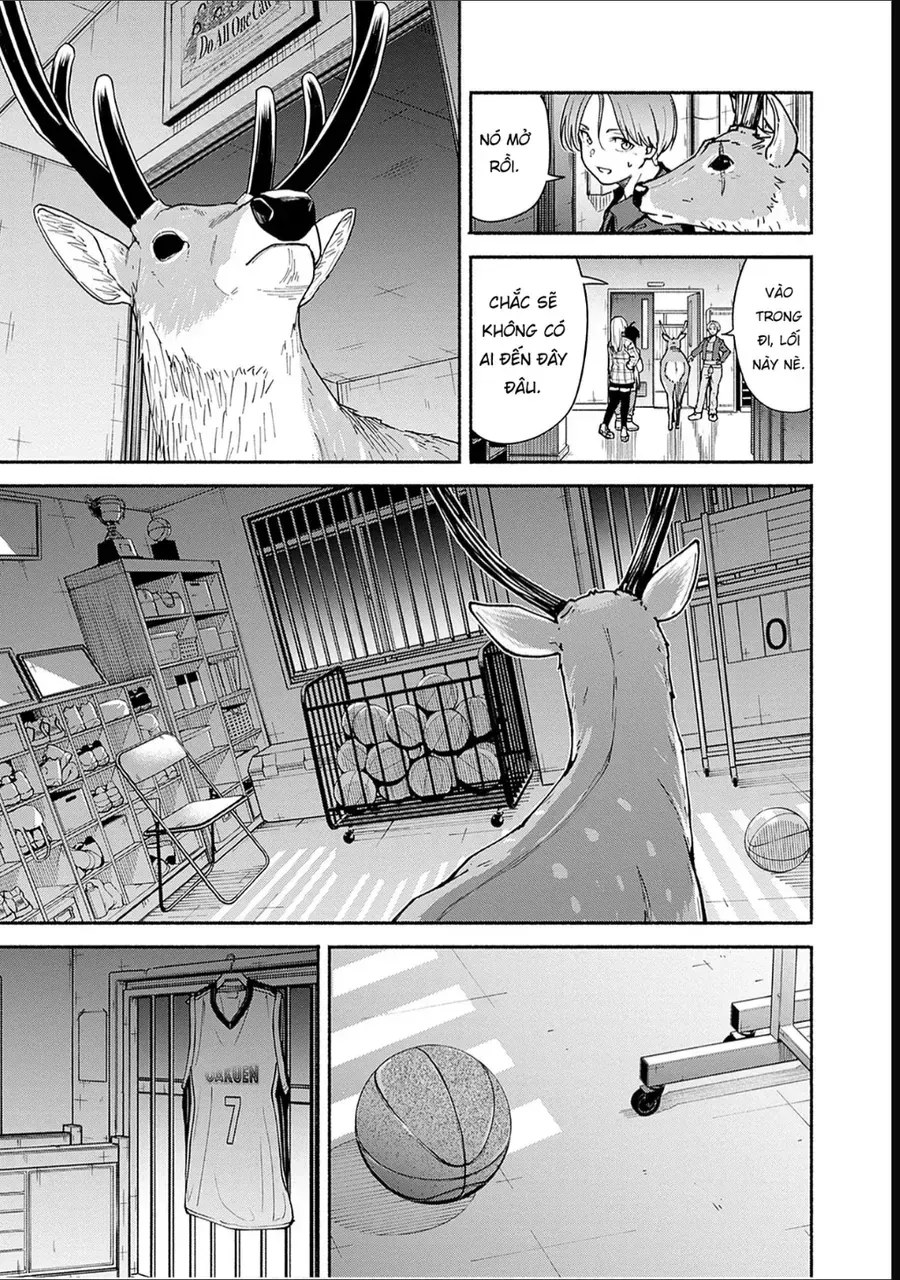 Chapter 5 - Trang 15