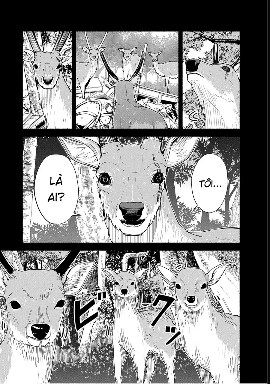 Chapter 5 - Trang 31