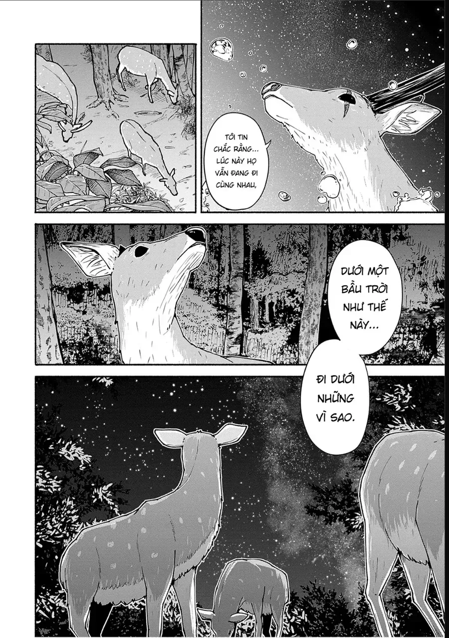 Chapter 5 - Trang 43