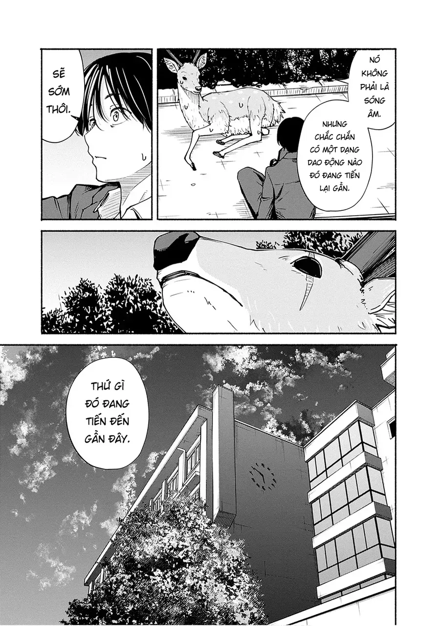 Chapter 9 - Trang 19