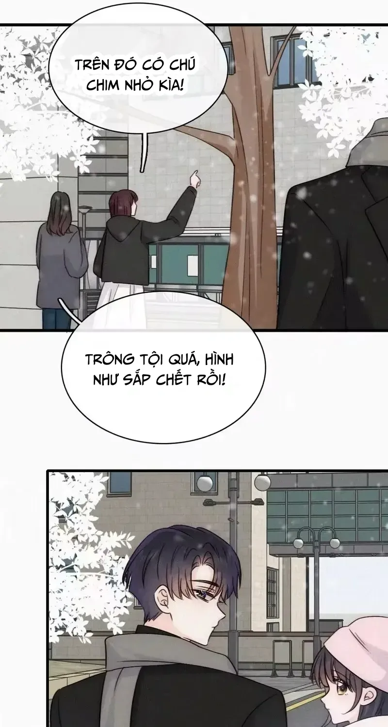 Trang 22