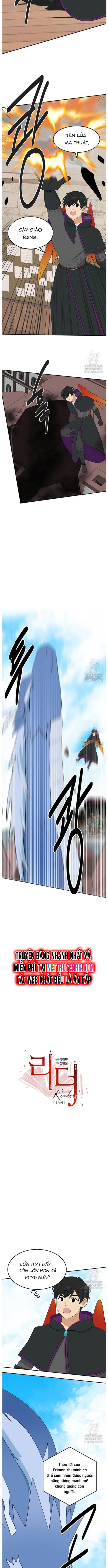 Chương 255 - Trang 3