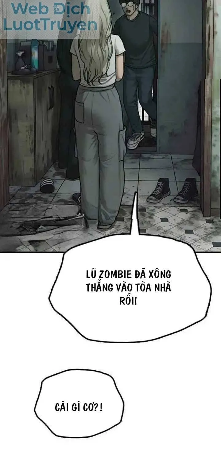 Trang 115