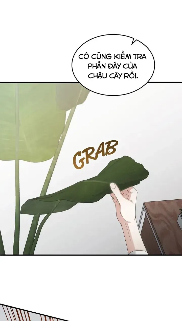 Chapter 47 - Trang 5