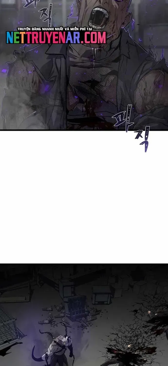 Chapter 101 - Trang 104