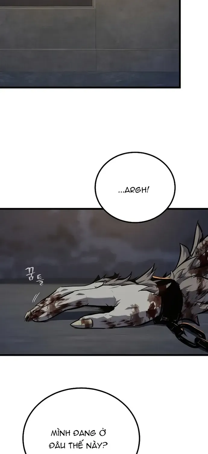 Chapter 104 - Trang 47