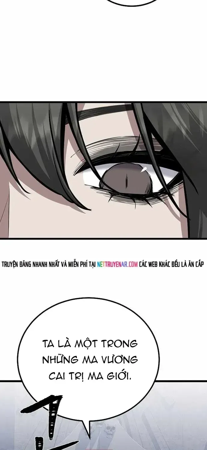 Chapter 133 - Trang 27