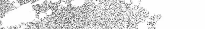 Chapter 134 - Trang 104