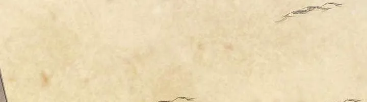 Chapter 151 - Trang 114