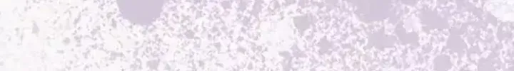 Chapter 153 - Trang 52