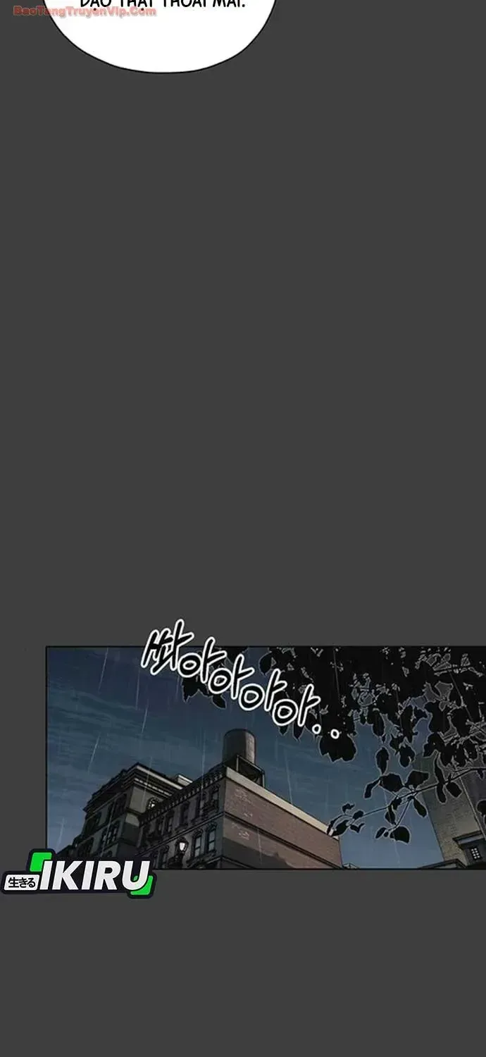 Chapter 258 - Trang 21
