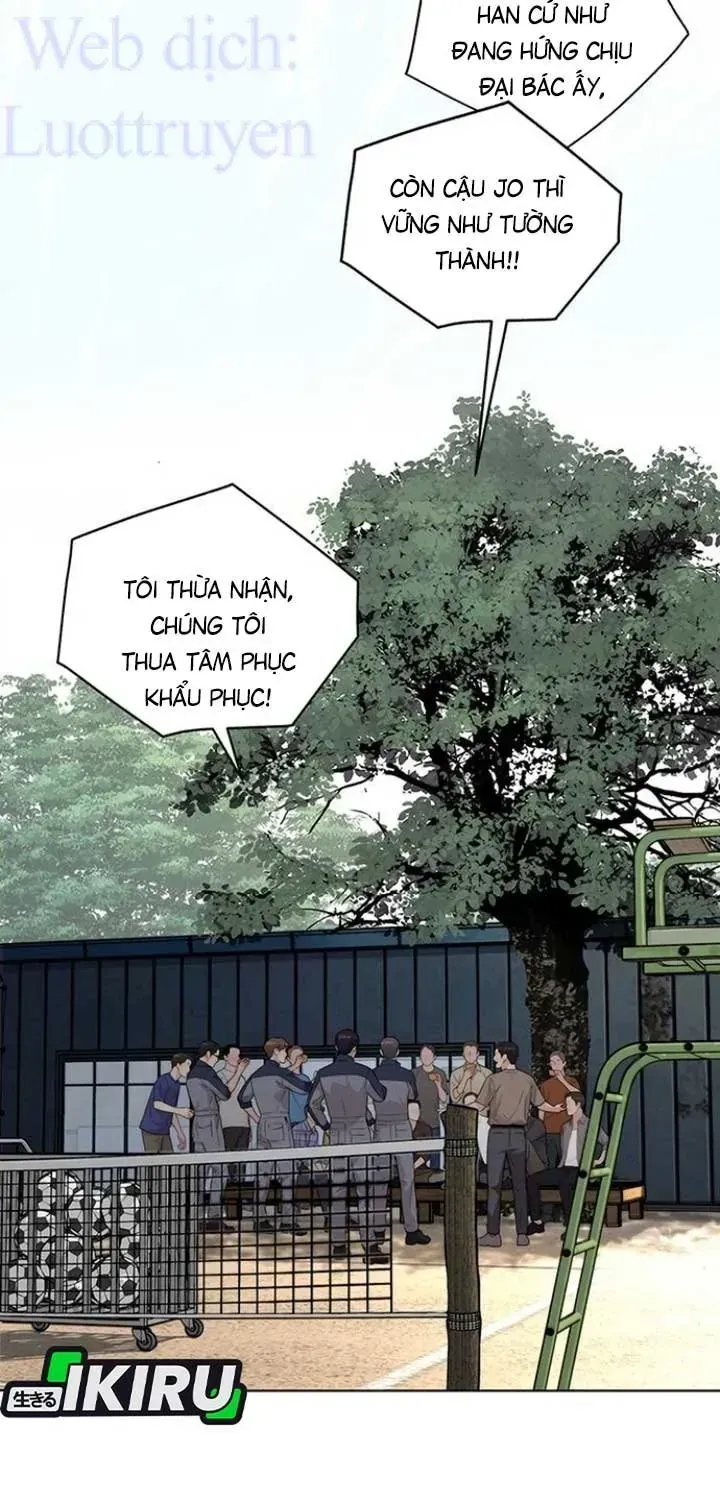 Chapter 260 - Trang 21