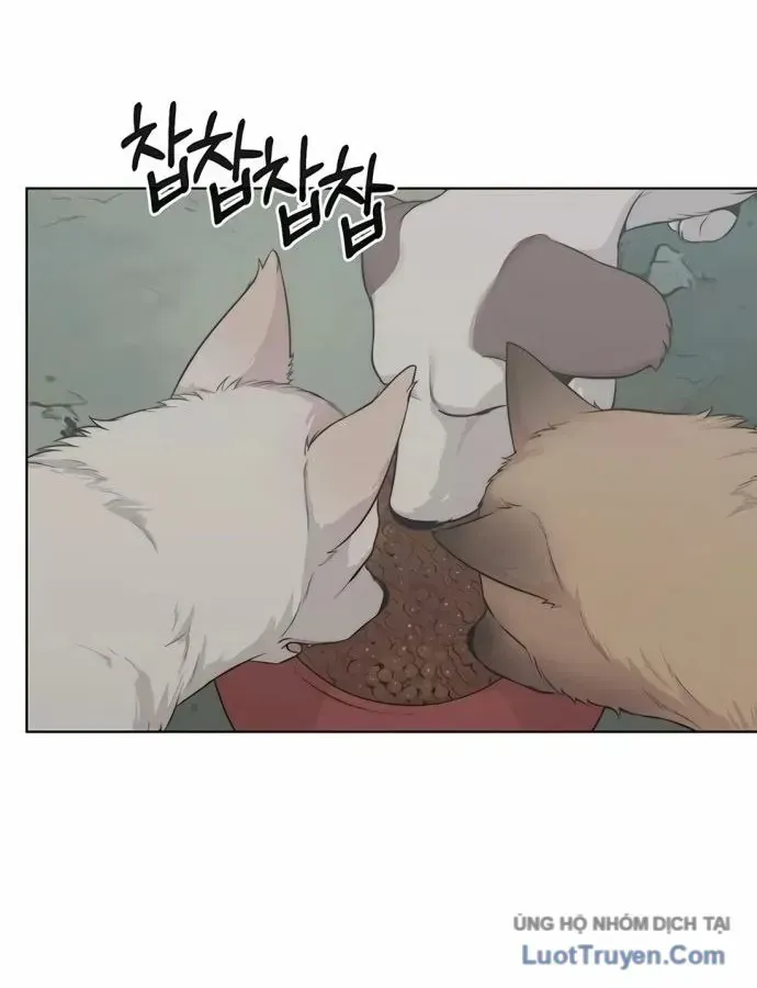 Chapter 266 - Trang 34