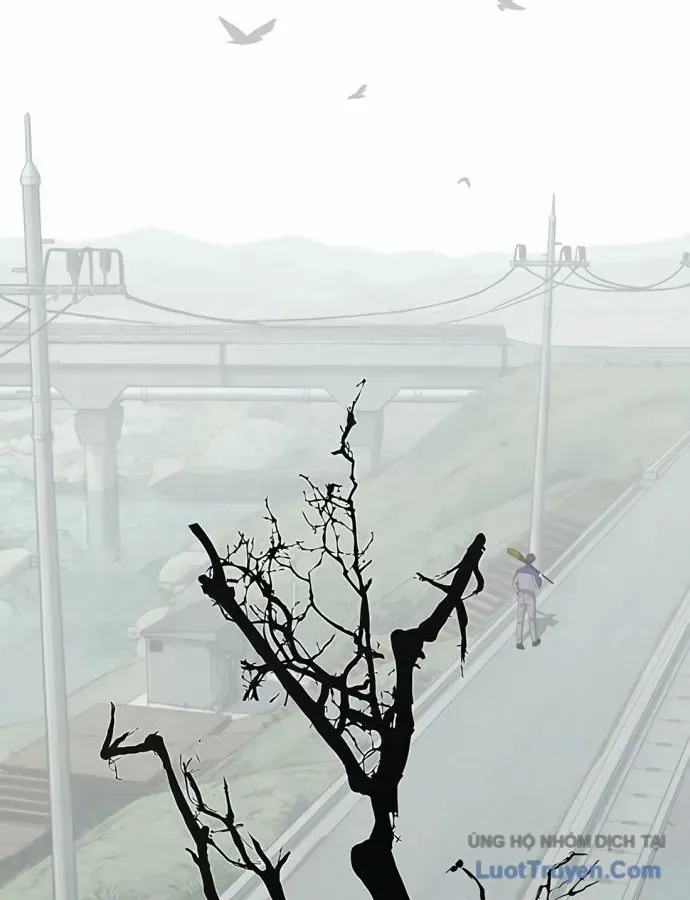 Chapter 266 - Trang 36