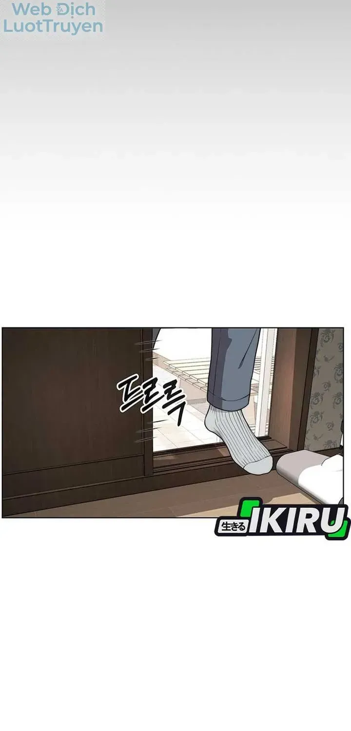 Chapter 271 - Trang 43