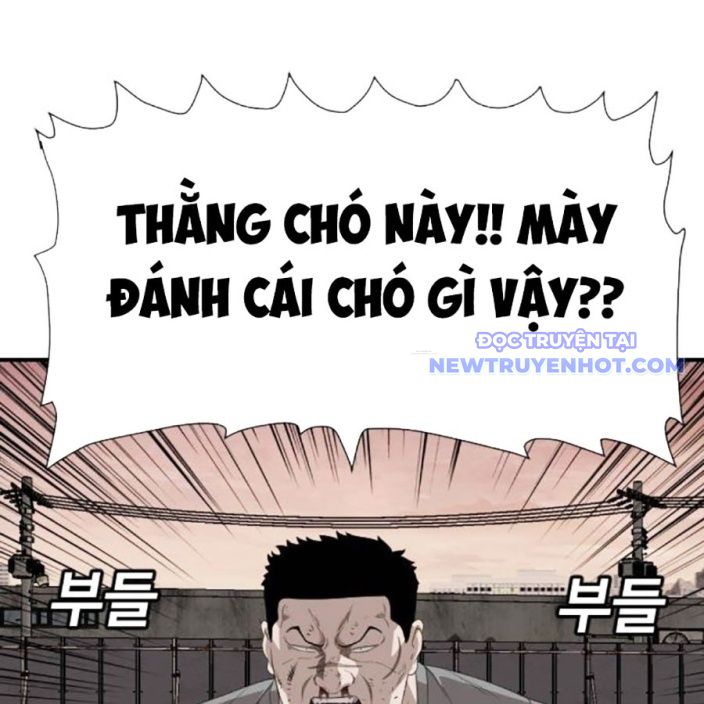 Chương 237 - Trang 1