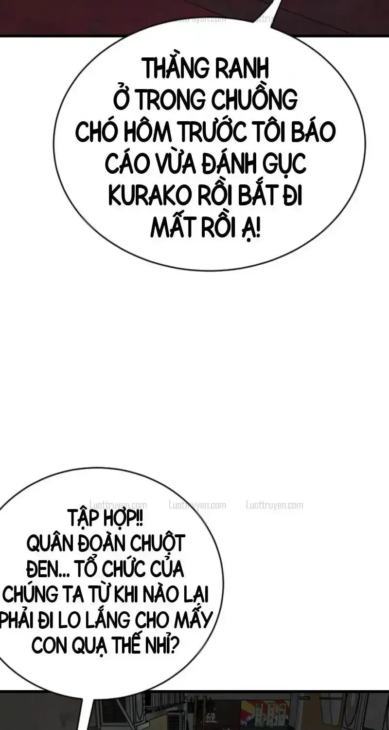 Chapter 313 - Trang 5