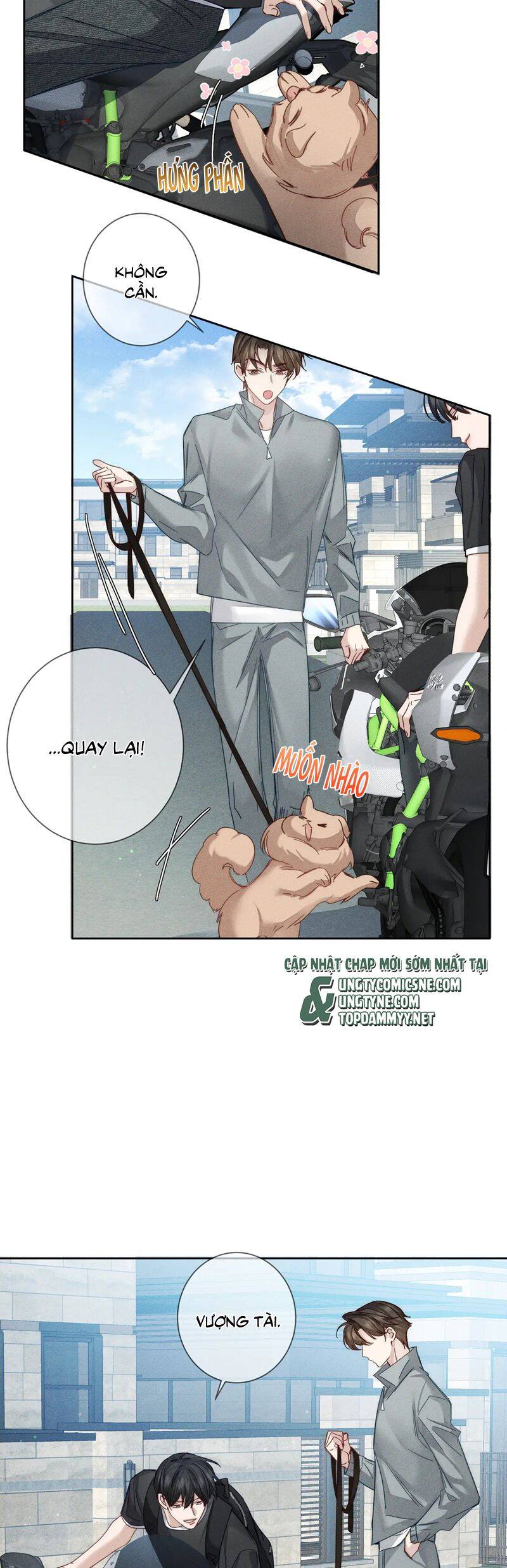 Chương 193 - Trang 10