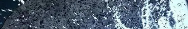 Chapter 220 - Trang 103