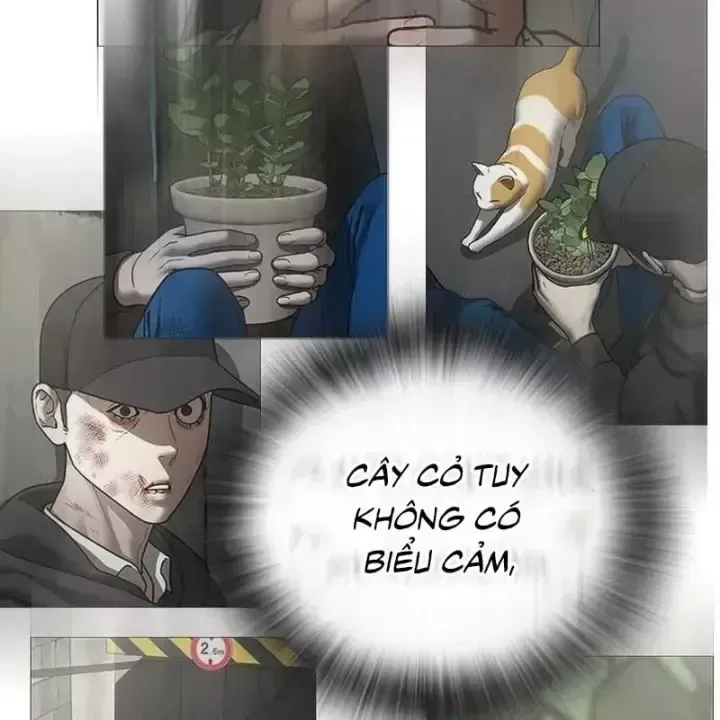 Chapter 232 - Trang 156