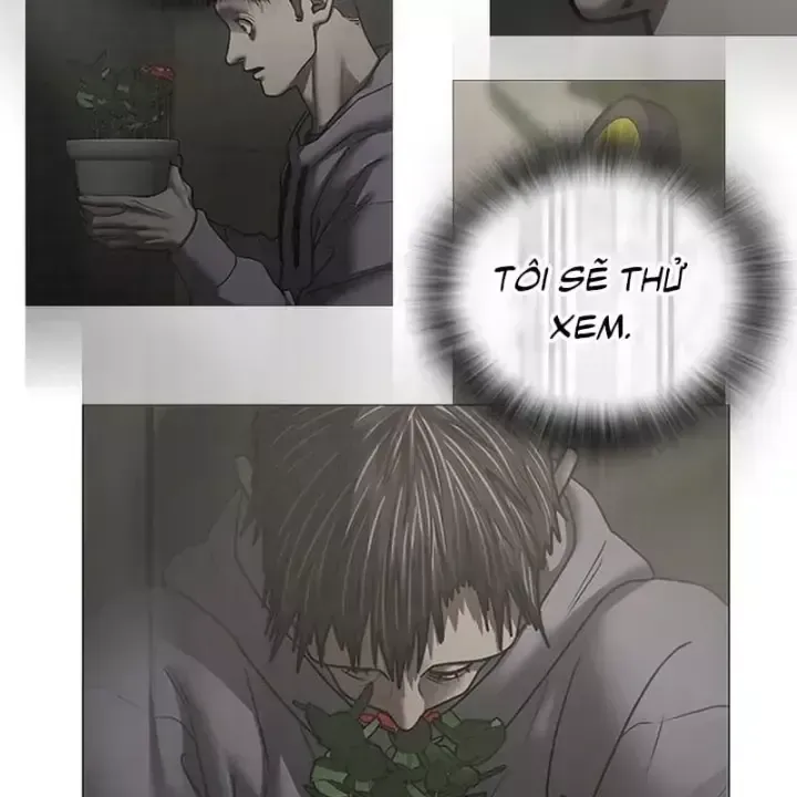 Chapter 232 - Trang 170