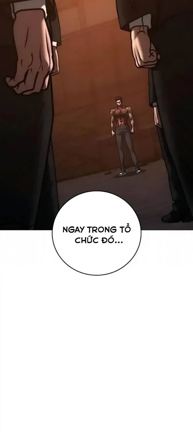 Chapter 246 - Trang 21