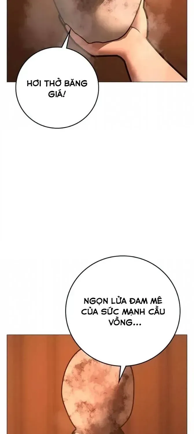 Chapter 246 - Trang 5
