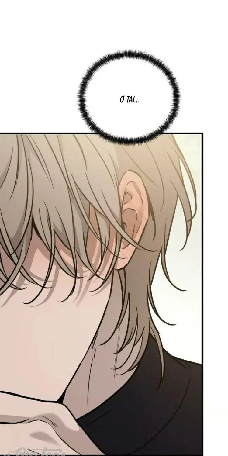 Chapter 19 - Trang 48
