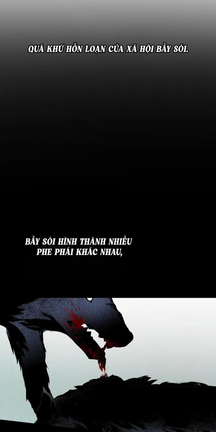 Chapter 2 - Trang 39