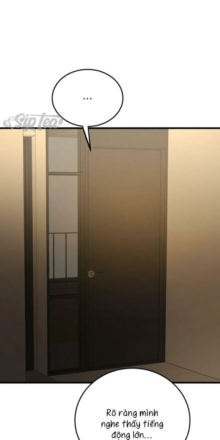 Chapter 23 - Trang 29